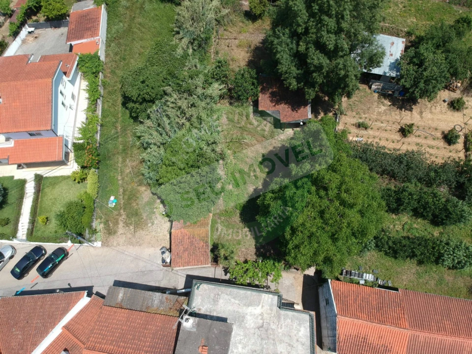 Terreno para Venda em Eiras e São Paulo de Frades Foto 2