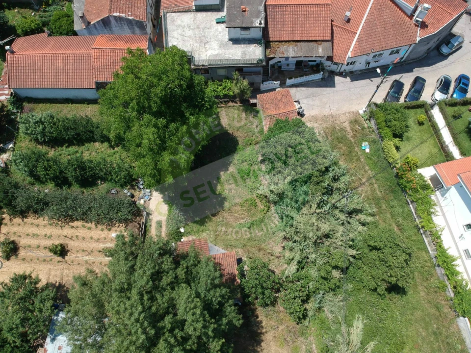 Terreno para Venda em Eiras e São Paulo de Frades Foto 3