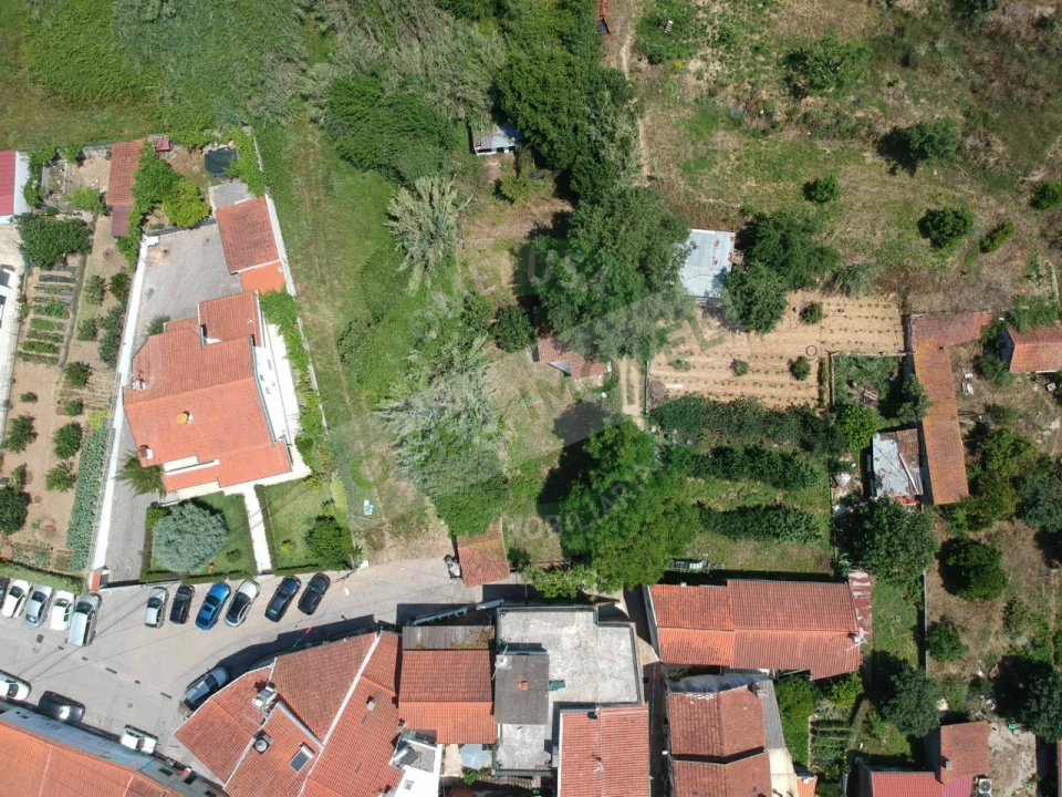Terreno para Venda em Eiras e São Paulo de Frades Foto 6