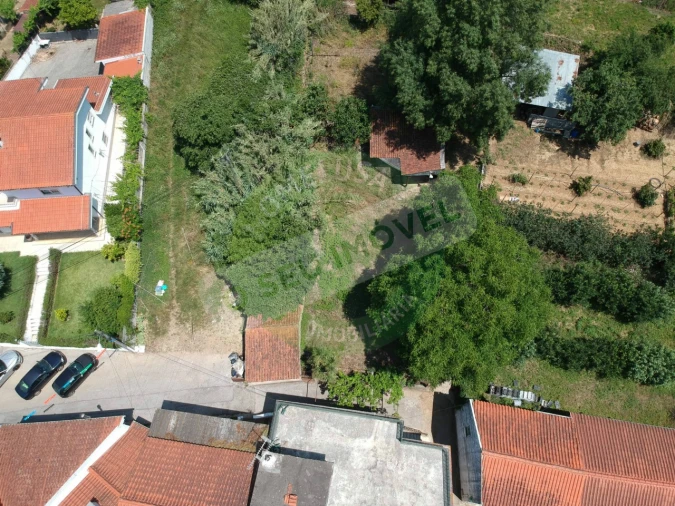 Terreno para Venda em Eiras e São Paulo de Frades Foto 2