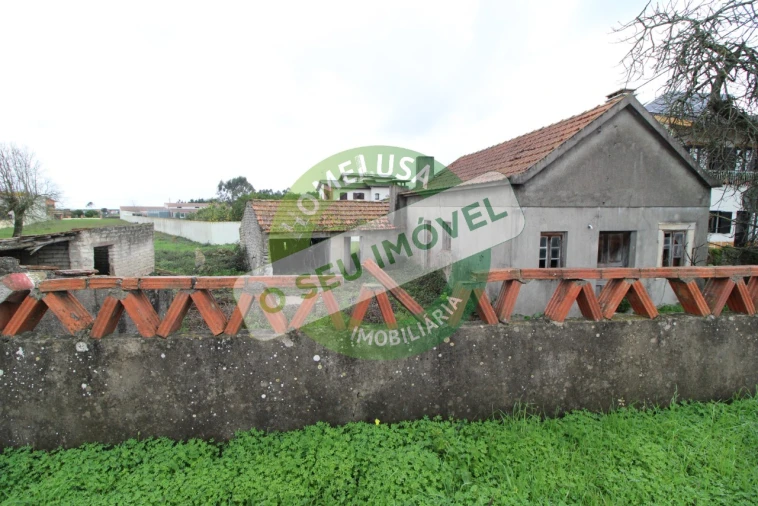 Terreno para Venda em Bom Sucesso Foto 3