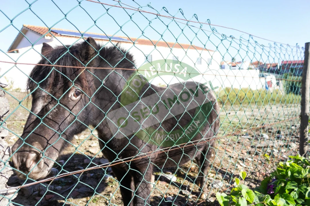 Terreno para Venda em Carapinheira Foto 7