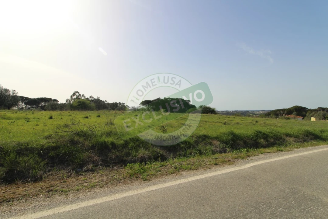 Terreno para Venda em Montemor-O-Velho e Gatões Foto 9