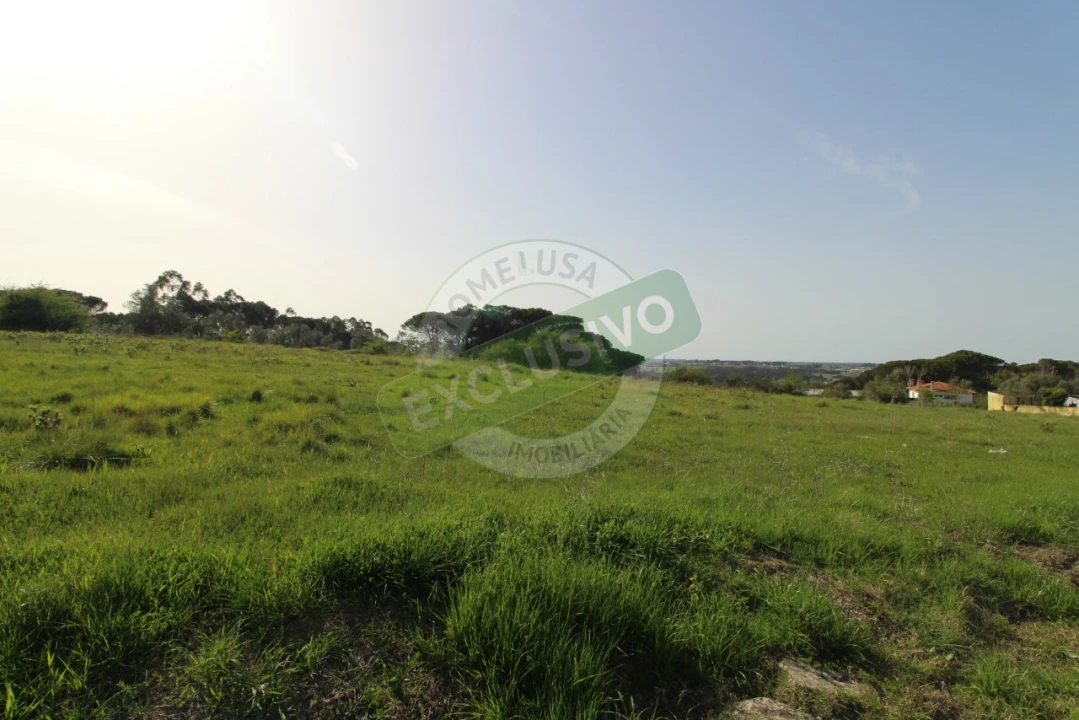 Terreno para Venda em Montemor-O-Velho e Gatões Foto 10