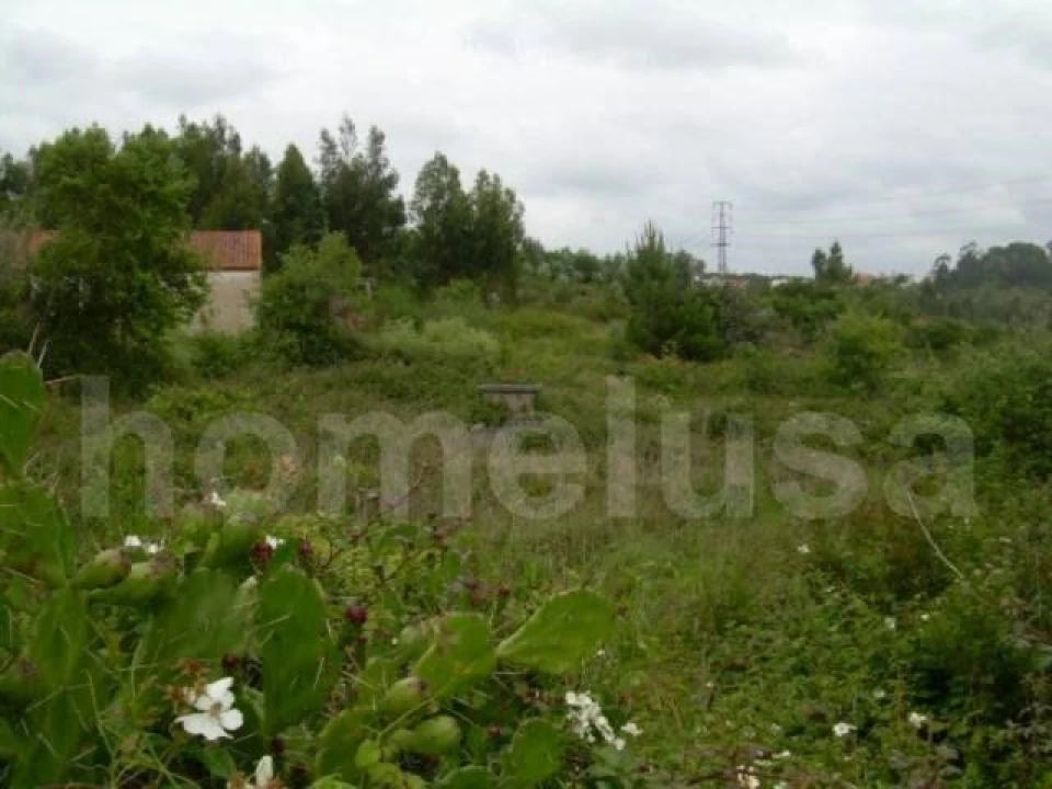 Terreno para Venda em Tavarede Foto 3