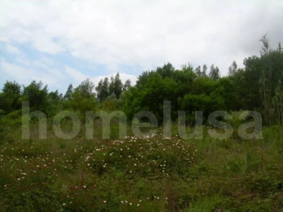 Terreno para Venda em Tavarede Foto 5