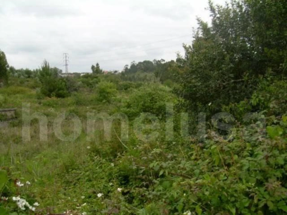 Terreno para Venda em Tavarede Foto 7