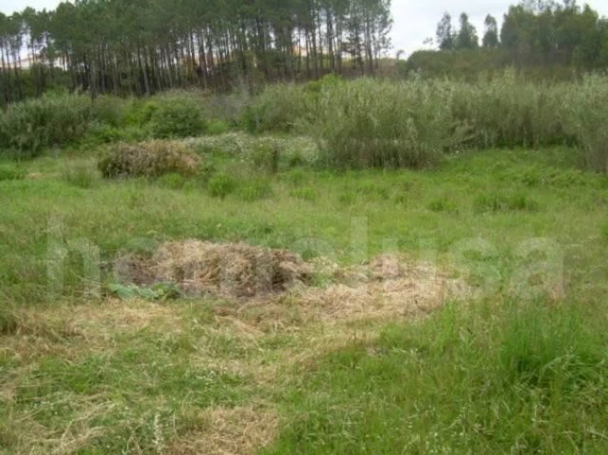 Terreno para Venda em Tavarede Foto 2