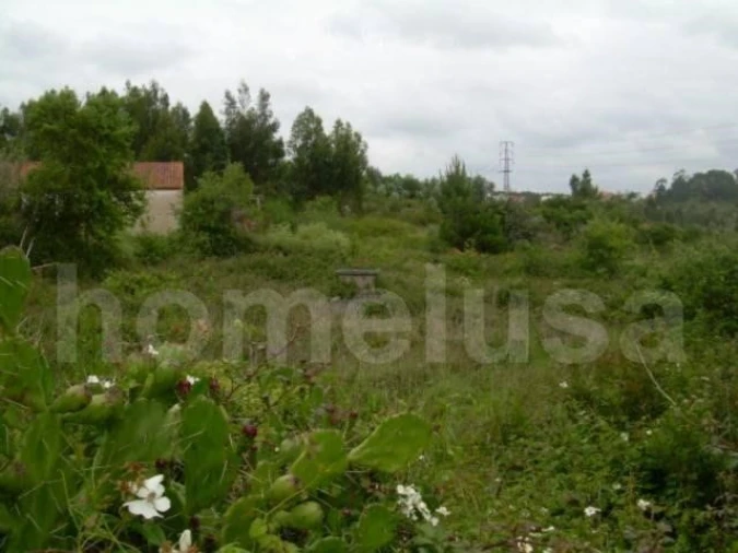 Terreno para Venda em Tavarede Foto 3