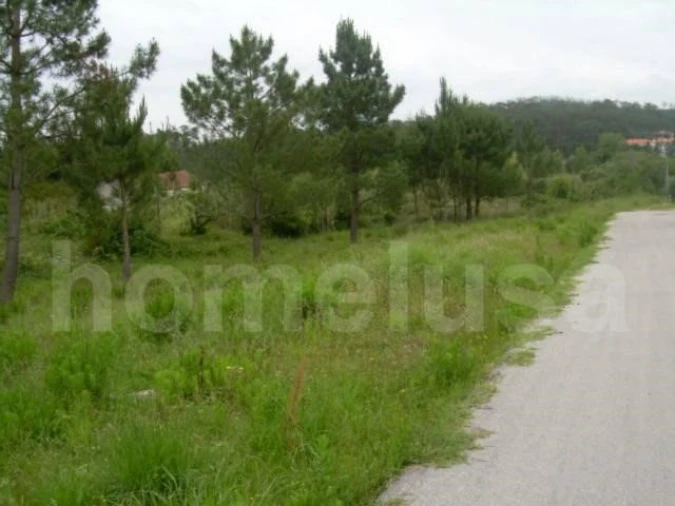 Terreno para Venda em Tavarede Foto 4