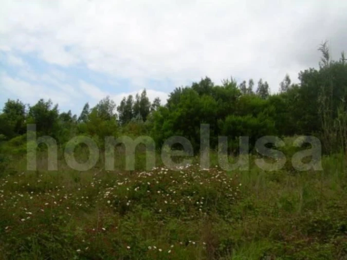 Terreno para Venda em Tavarede Foto 5