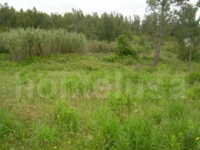 Terreno para Venda em Tavarede Foto 6