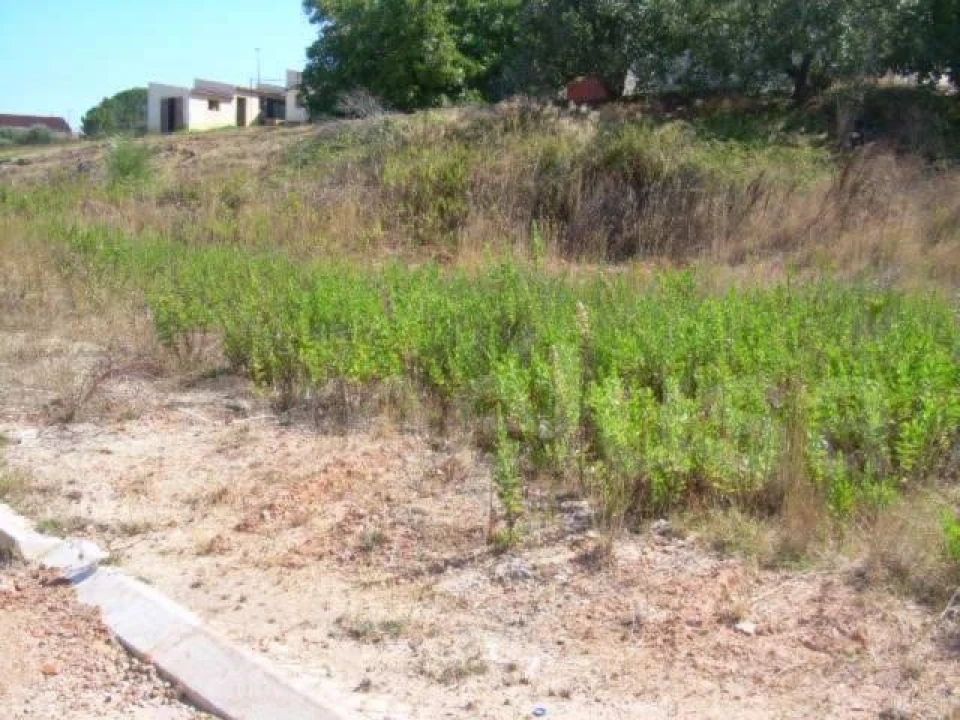 Terreno para Venda em Tavarede Foto 1