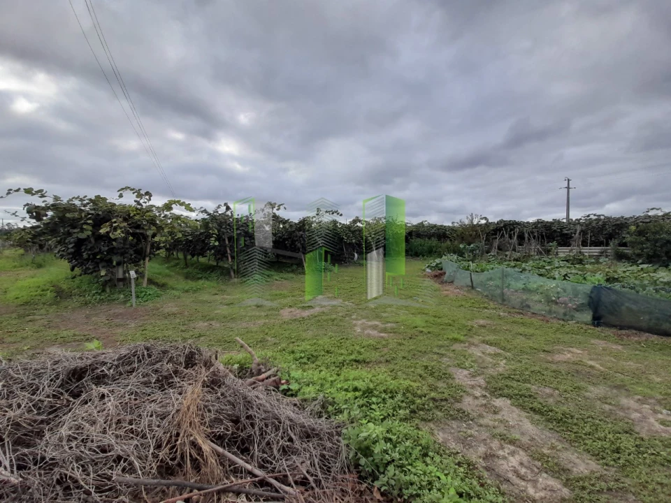 Terreno para Venda em Covões e Camarneira Foto 11