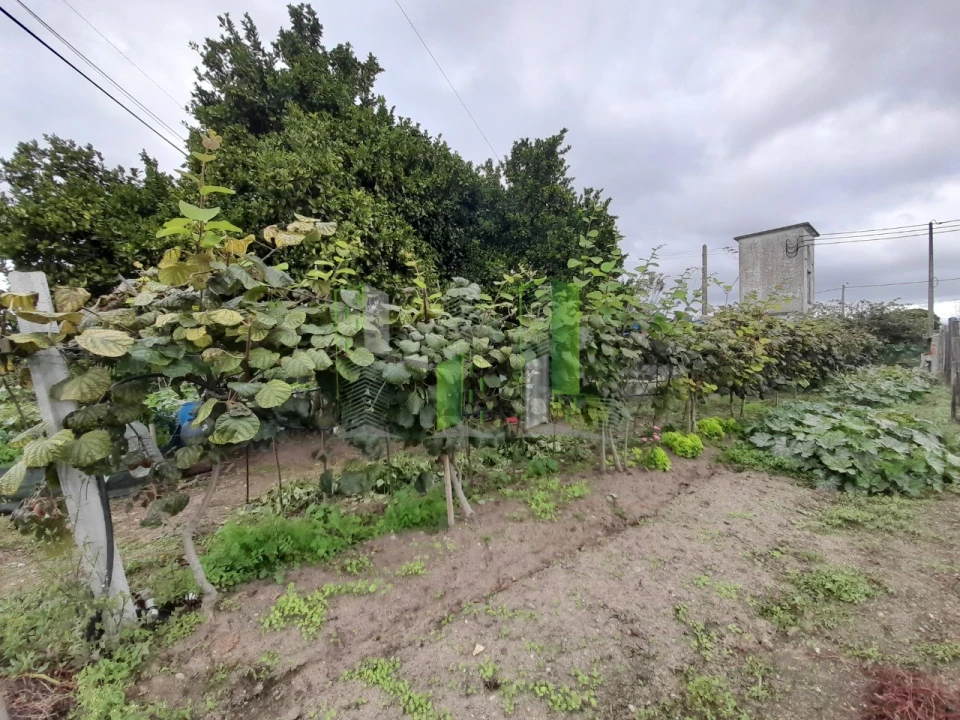 Terreno para Venda em Covões e Camarneira Foto 12