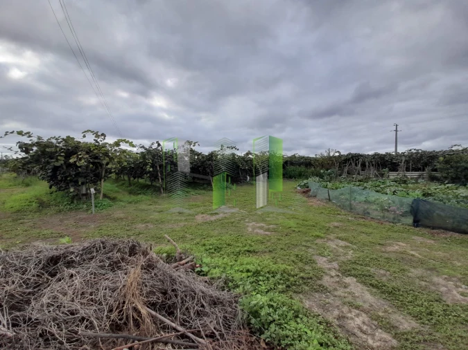 Terreno para Venda em Covões e Camarneira Foto 11