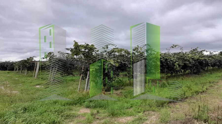 Terreno para Venda em Covões e Camarneira