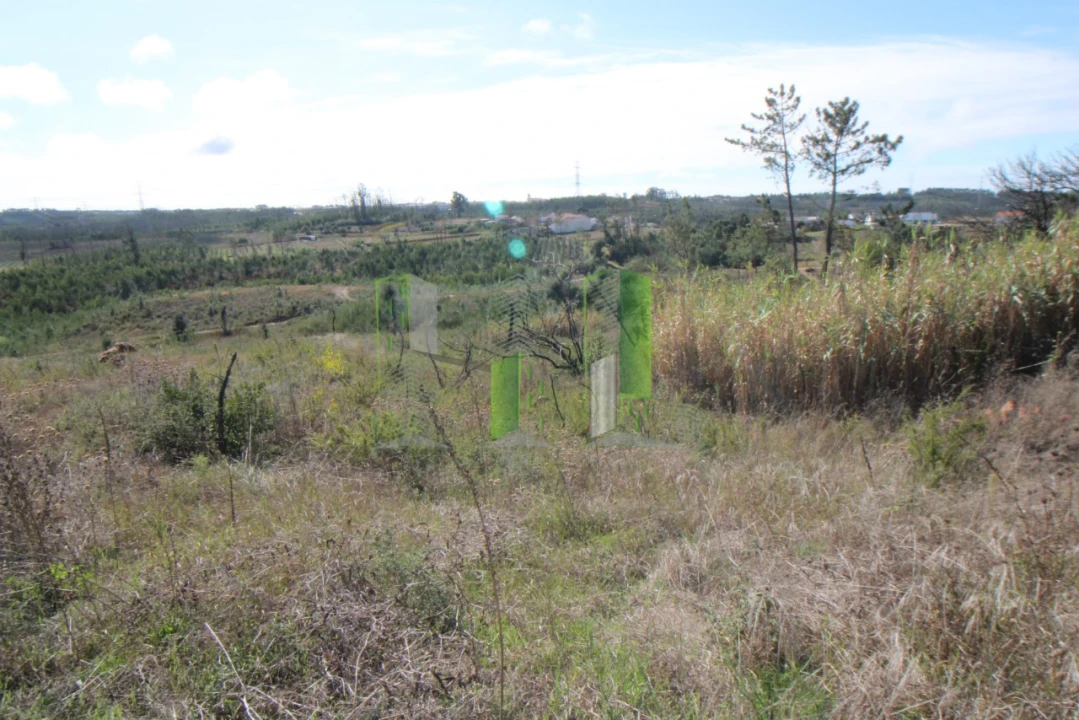 Terreno para Venda em Paião Foto 7