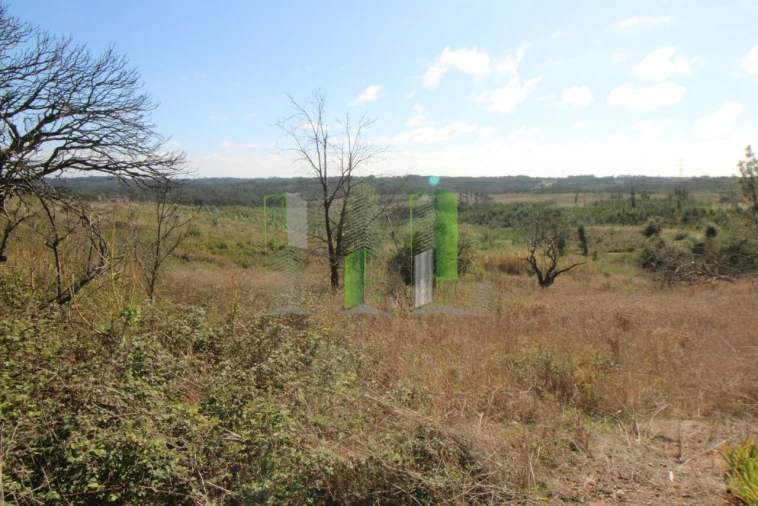 Terreno para Venda em Paião Foto 1