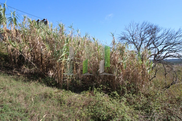 Terreno para Venda em Paião Foto 3