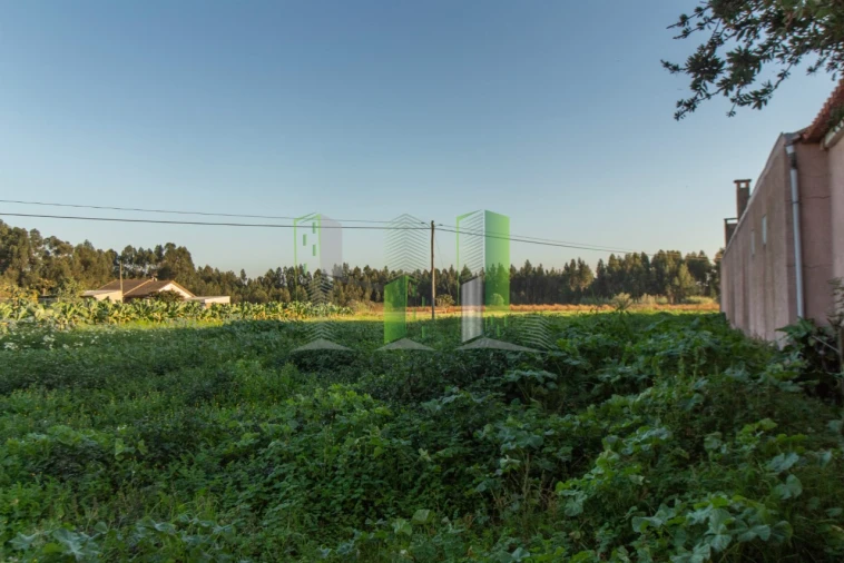 Terreno para Venda em Covões e Camarneira Foto 12