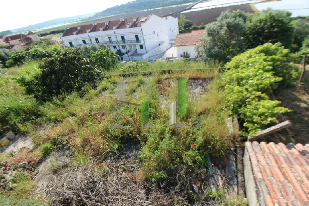 Terreno para Venda em Montemor-O-Velho e Gatões Foto 2