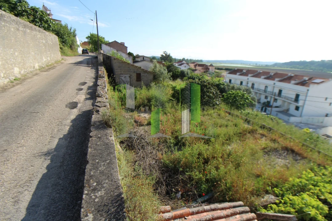 Terreno para Venda em Montemor-O-Velho e Gatões Foto 8