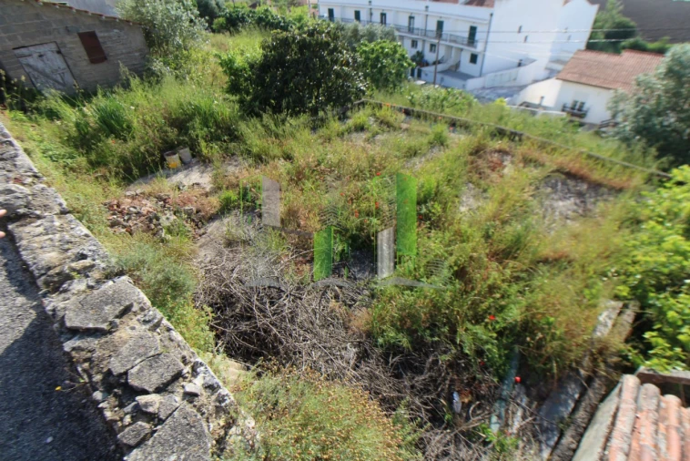 Terreno para Venda em Montemor-O-Velho e Gatões Foto 3