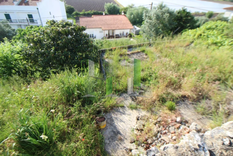 Terreno para Venda em Montemor-O-Velho e Gatões Foto 5