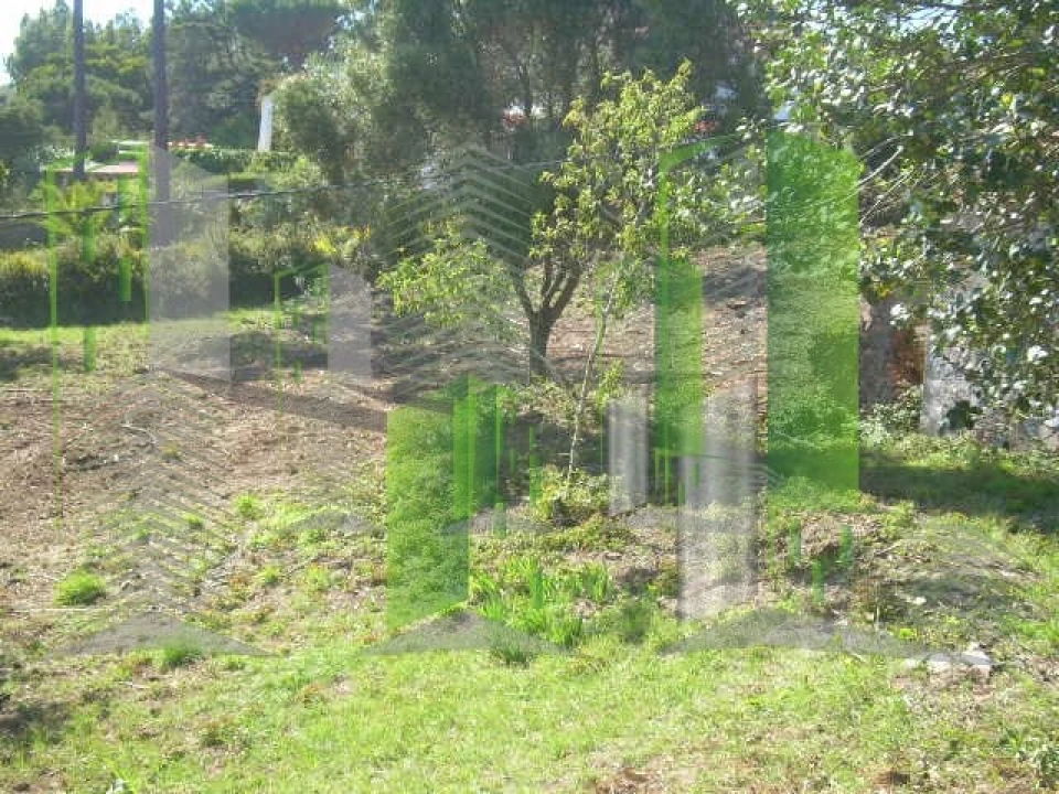 Terreno para Venda em Buarcos Foto 8