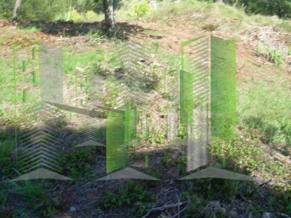 Terreno para Venda em Buarcos Foto 10