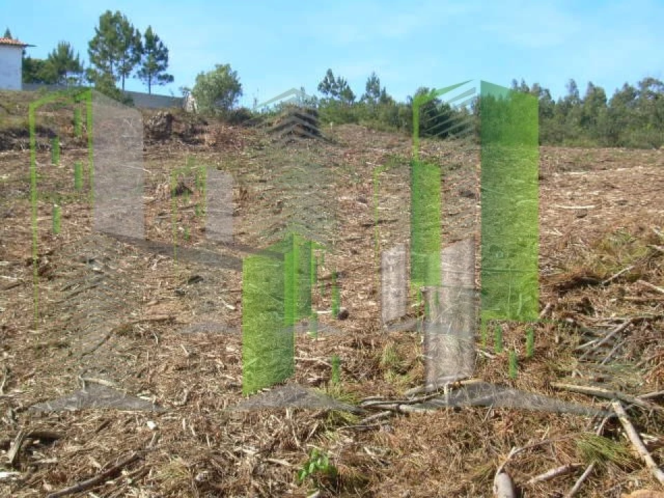 Terreno para Venda em Buarcos Foto 12