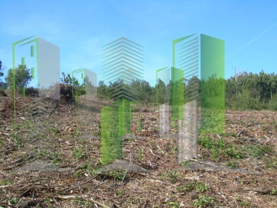 Terreno para Venda em Buarcos Foto 15