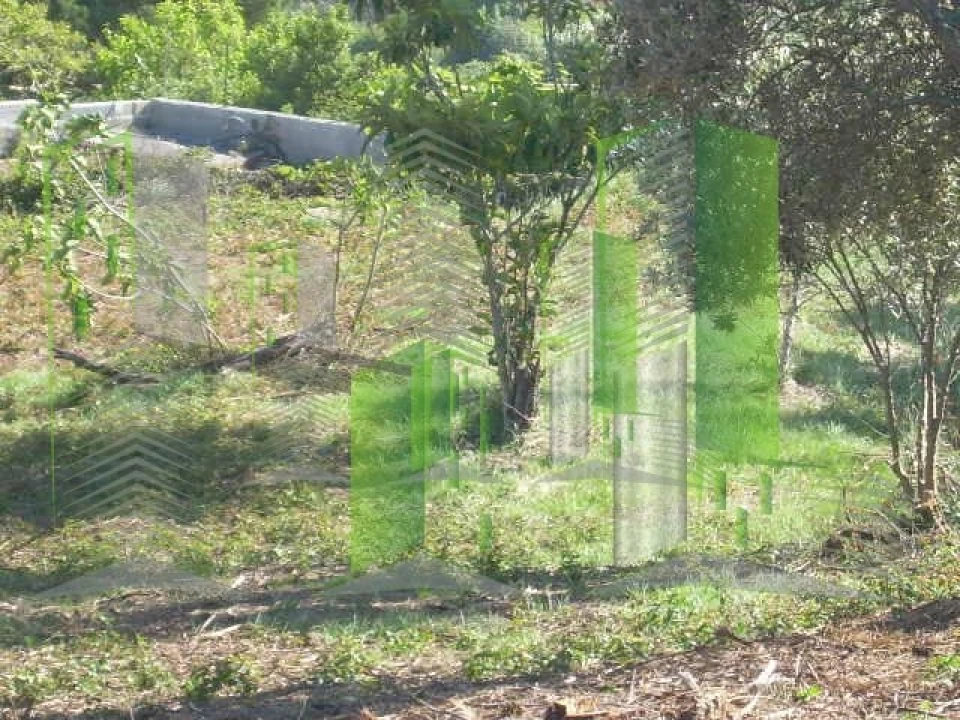 Terreno para Venda em Buarcos Foto 23