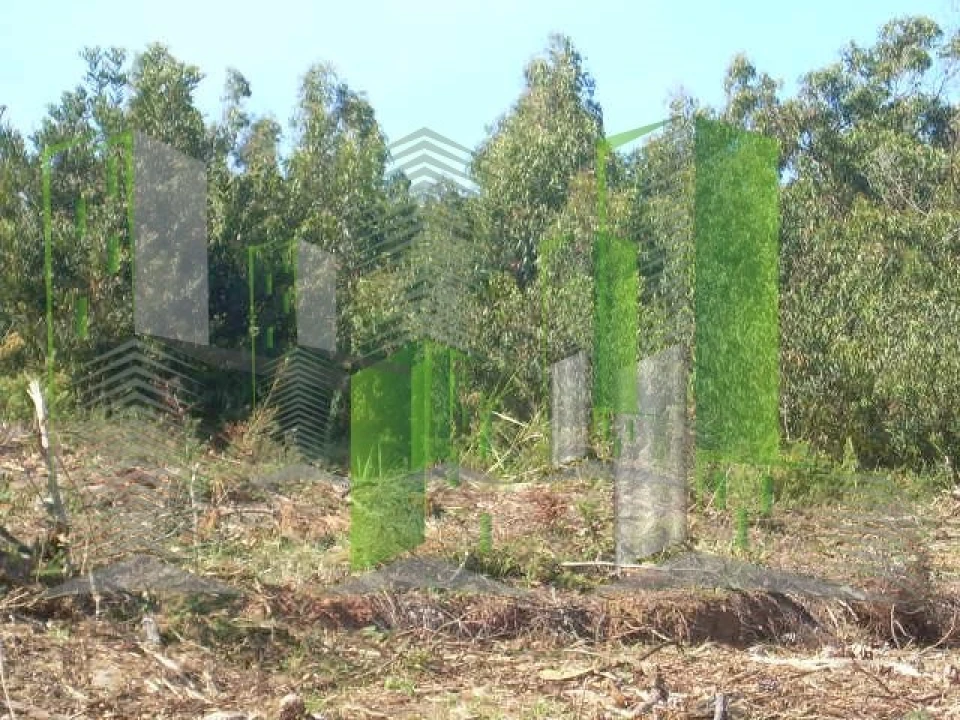 Terreno para Venda em Buarcos Foto 25