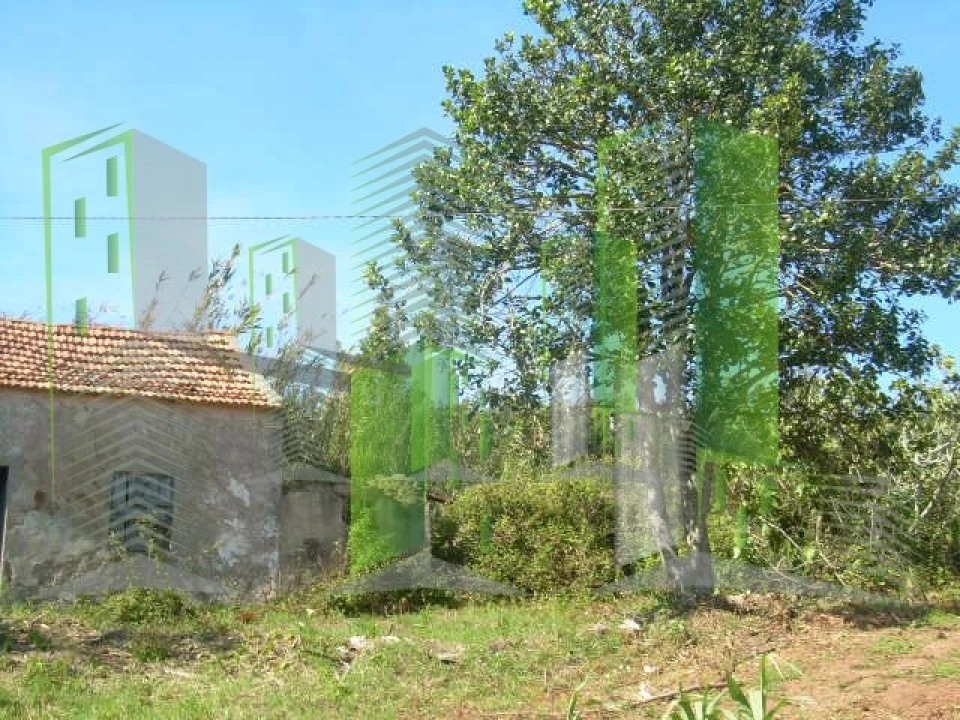 Terreno para Venda em Buarcos Foto 30