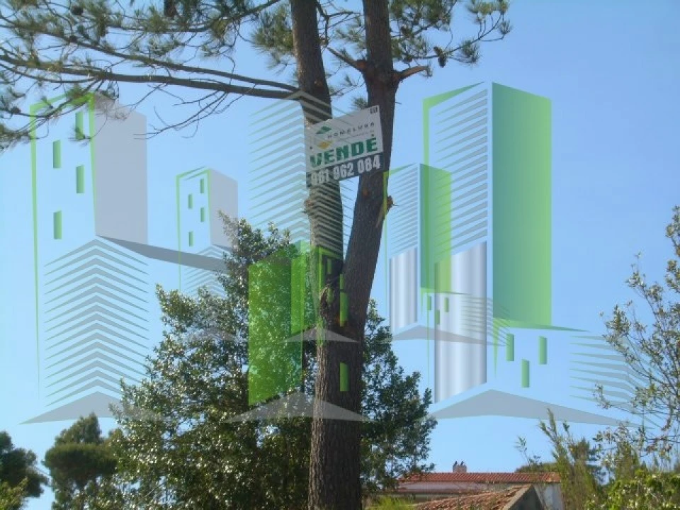 Terreno para Venda em Buarcos Foto 32