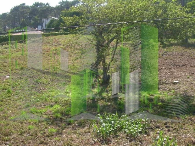 Terreno para Venda em Buarcos Foto 7