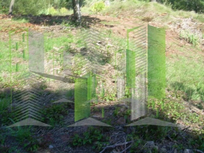 Terreno para Venda em Buarcos Foto 10