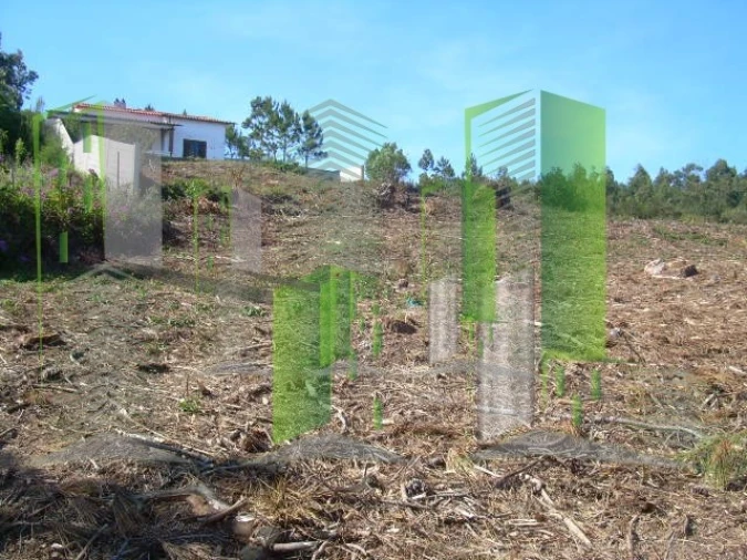 Terreno para Venda em Buarcos Foto 13