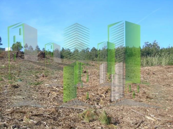 Terreno para Venda em Buarcos Foto 14