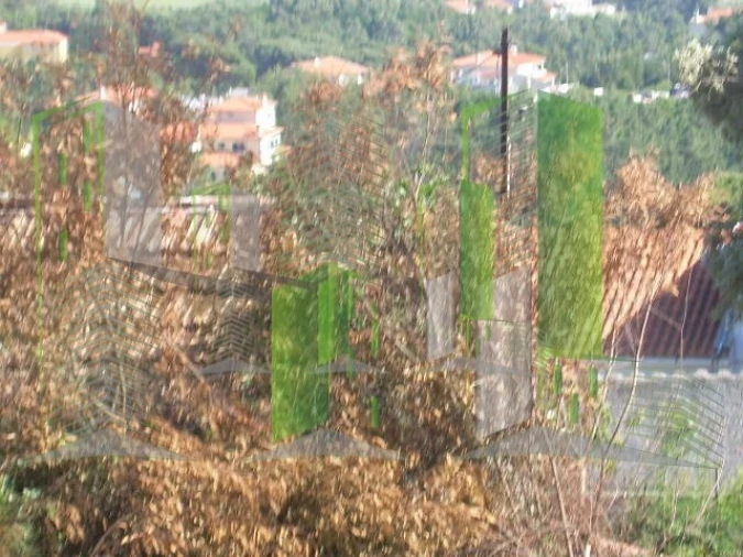 Terreno para Venda em Buarcos Foto 24