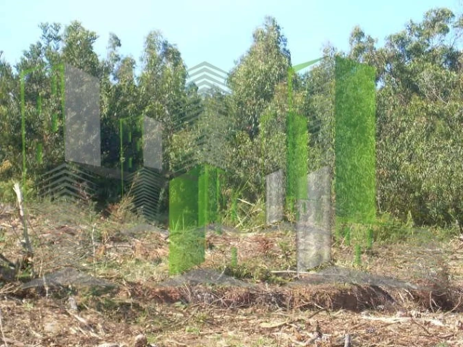 Terreno para Venda em Buarcos Foto 25