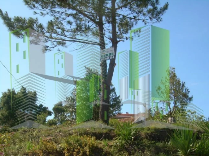 Terreno para Venda em Buarcos Foto 31