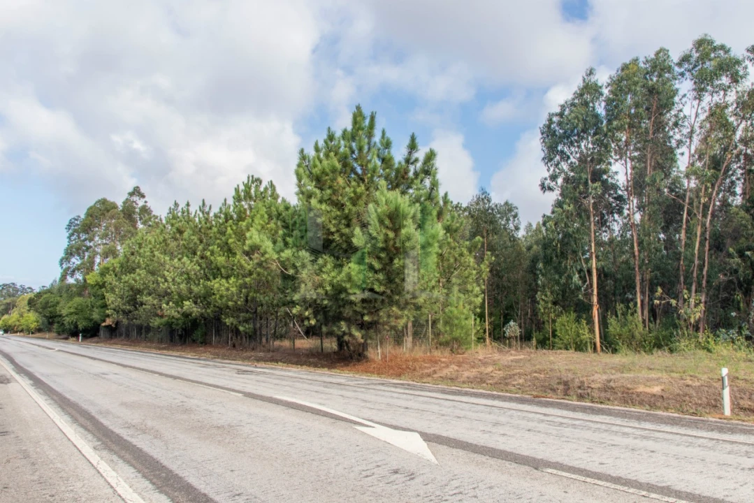 Terreno para Venda em Marinha das Ondas Foto 1