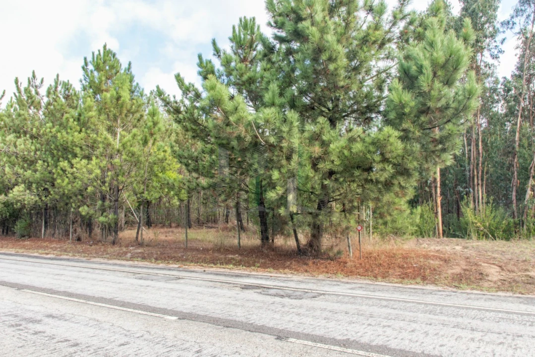 Terreno para Venda em Marinha das Ondas Foto 2