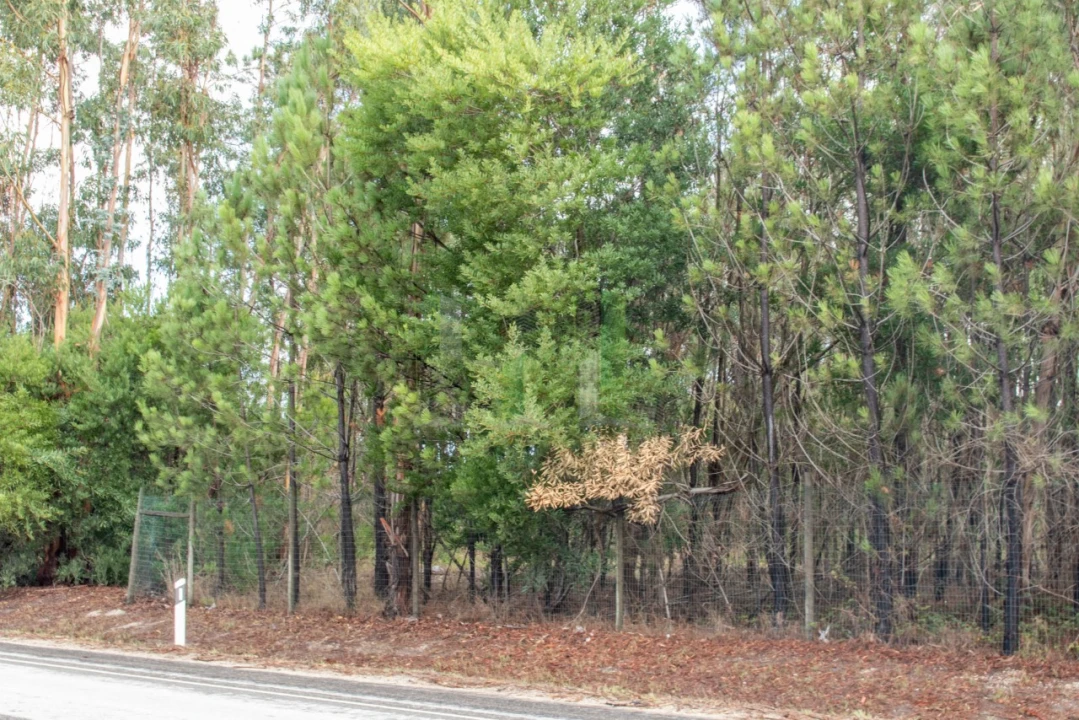Terreno para Venda em Marinha das Ondas Foto 5