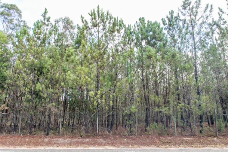 Terreno para Venda em Marinha das Ondas Foto 6