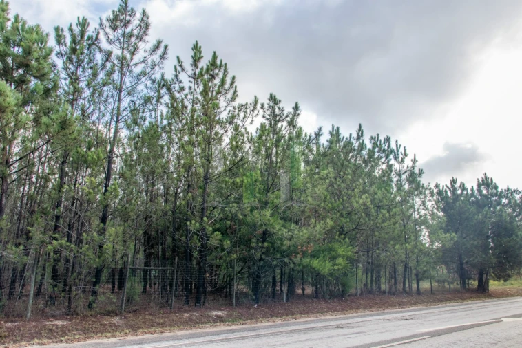 Terreno para Venda em Marinha das Ondas Foto 7