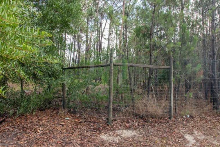 Terreno para Venda em Marinha das Ondas Foto 11